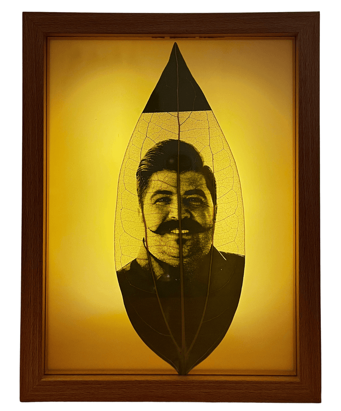 کادو شیک و متفاوت – قاب حکاکی روی برگ طبیعی با نورپردازی جذاب