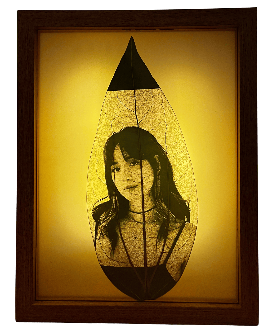 قاب لایت‌دار شارژی با حکاکی روی برگ طبیعی – بهترین انتخاب برای کادو و هدیه خاص و لاکچری