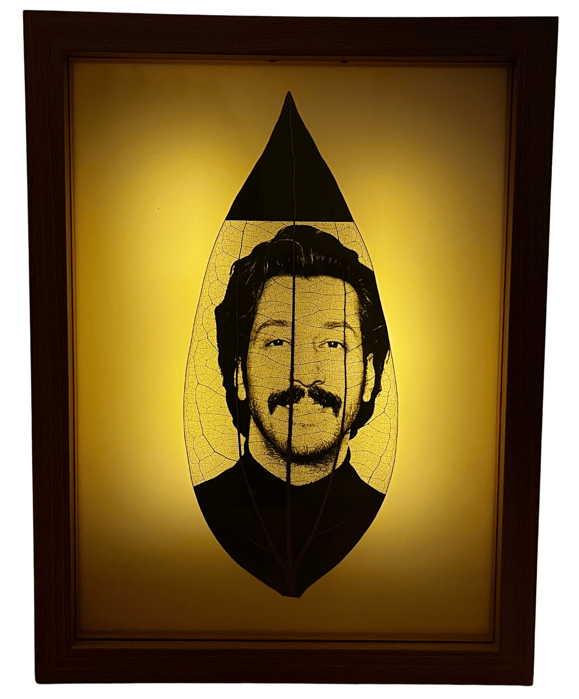 کادو و هدیه شخصی‌سازی شده – قاب لایت‌دار هنری با برگ طبیعی حکاکی شده برای سورپرایز خاص