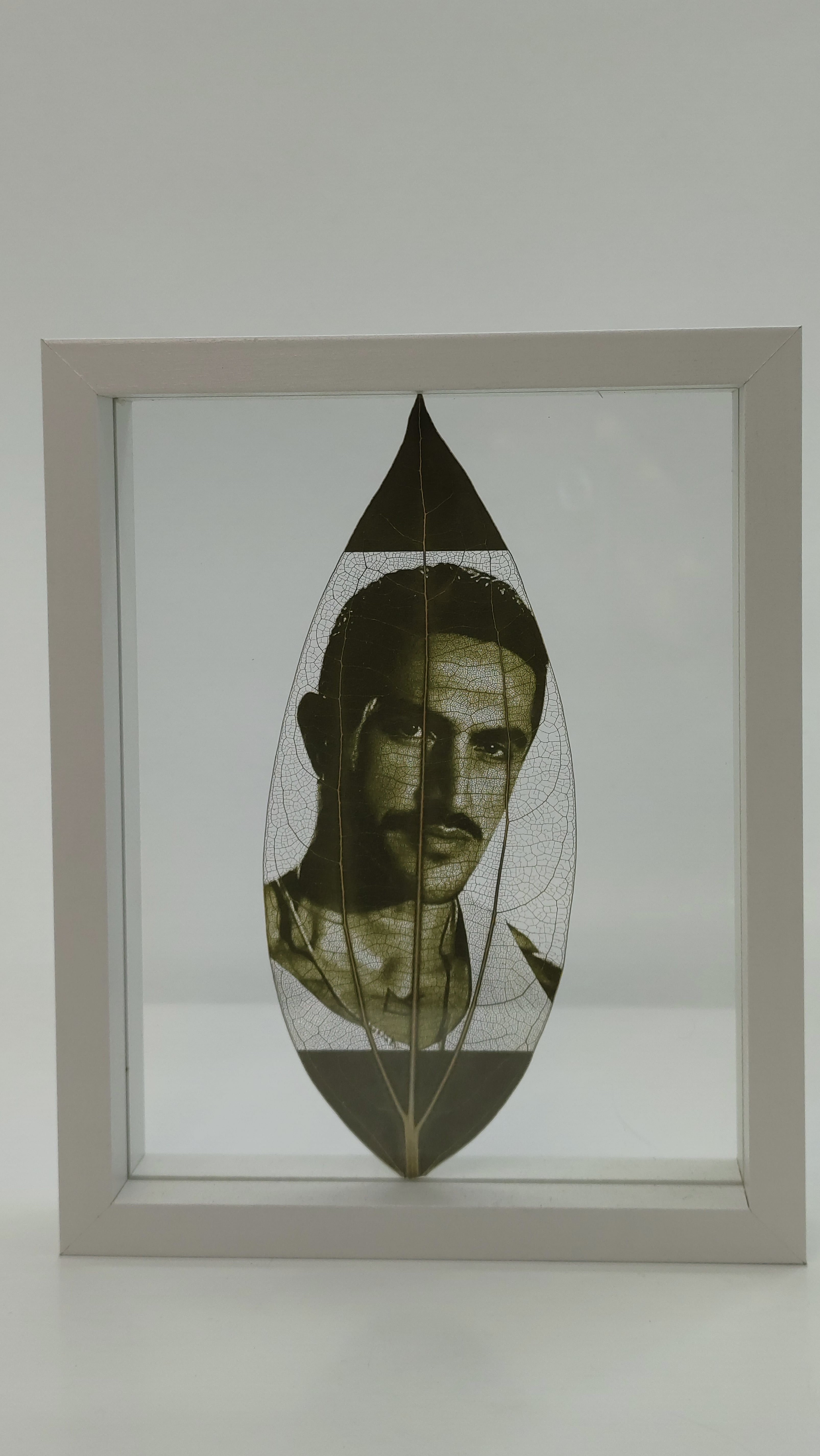 هدیه رمانتیک و خاطره‌انگیز: قاب دوطرفه کلاسیک با تصویر حک شده روی برگ طبیعی، بهترین کادو برای عزیزان